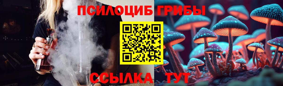 Галлюциногенные грибы Psilocybine cubensis Отрадный