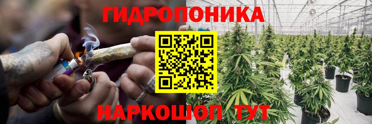 МАРИХУАНА White Widow  Вход с VPN  Конопля план  Бошки Шишки марихуана  Отрадный 
